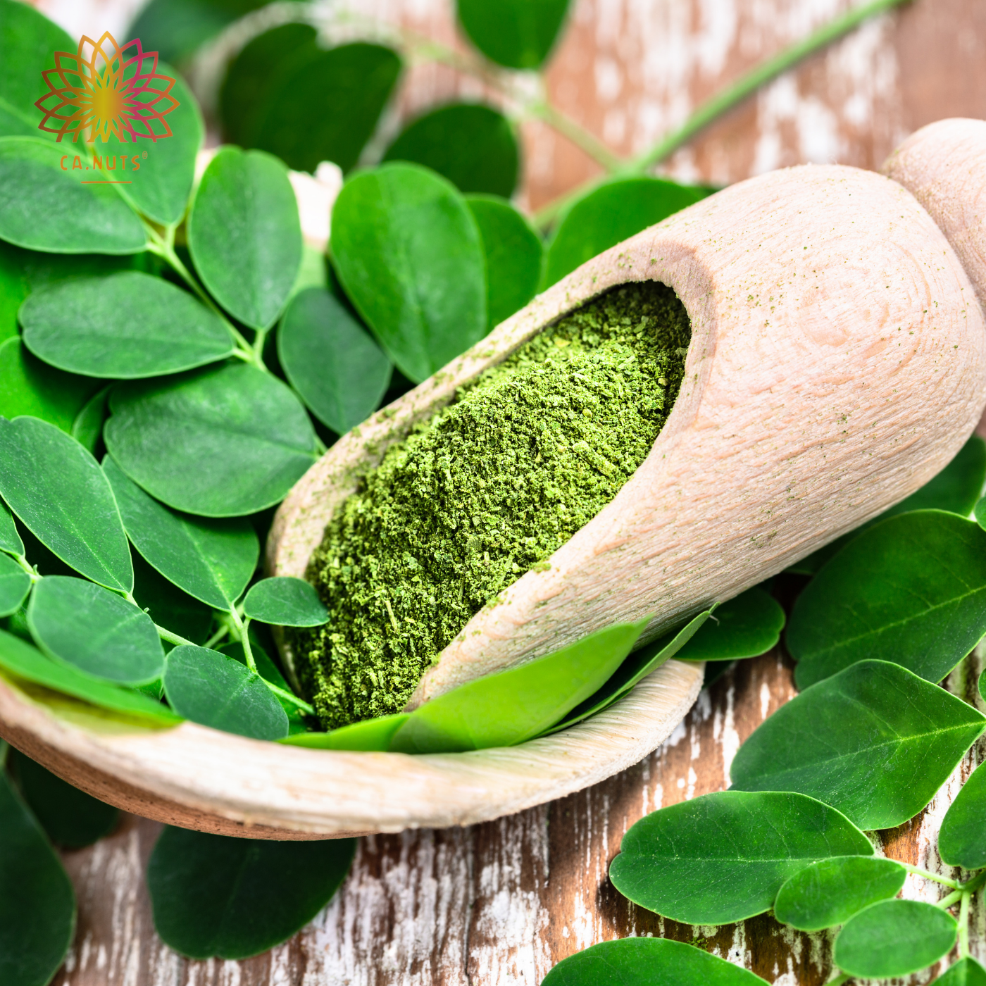 Moringa em pó puro natural Ca.Nuts