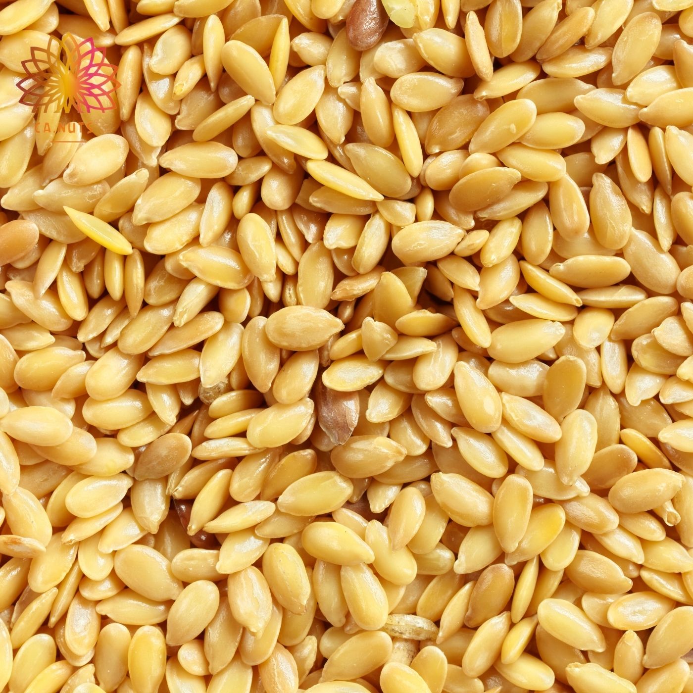 Semente de Linhaça Dourada Premium