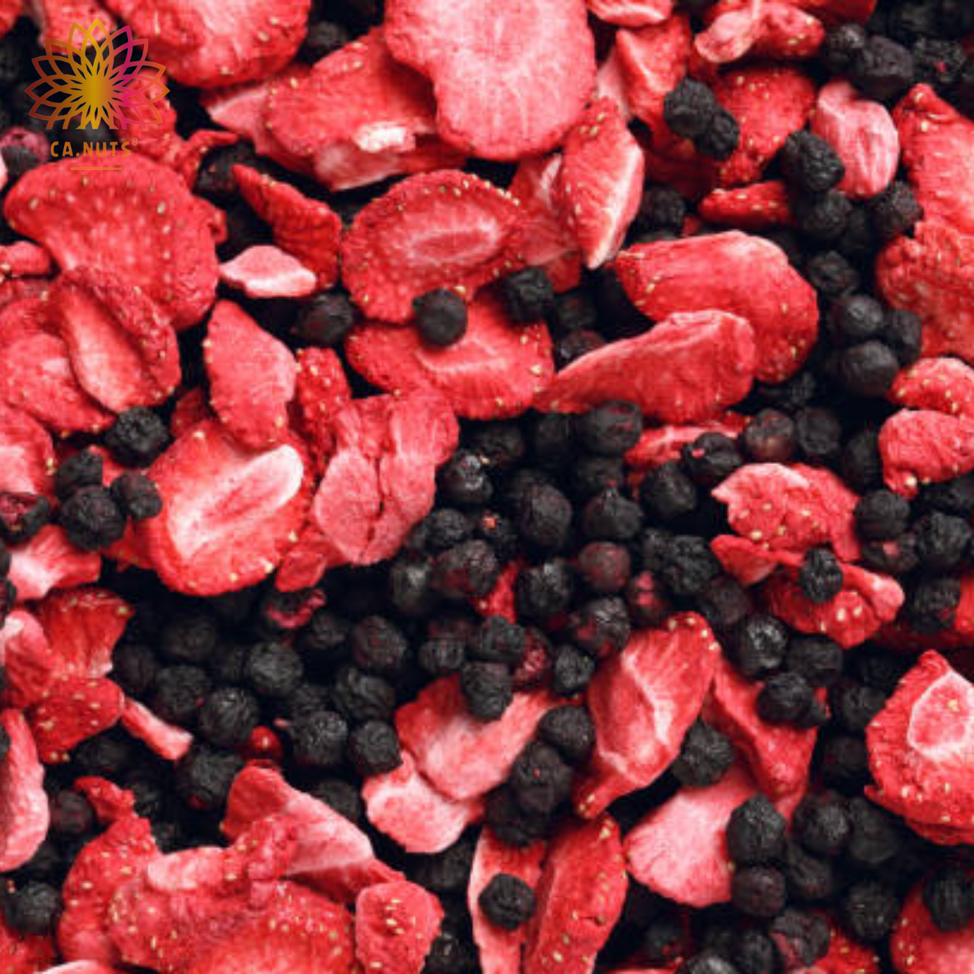 Mix de Frutas Vermelhas (Cereja, Morango, Cranberry e Goji Berry) | Premium Ca.Nuts