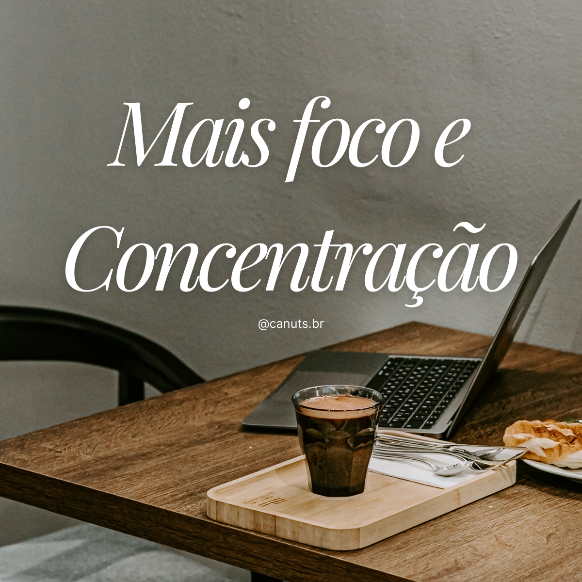 Nootrópico Natural Ca.Nuts (3x500g) Premium | Moringa em Pó, Ginseng em Pó e Chlorella em Pó