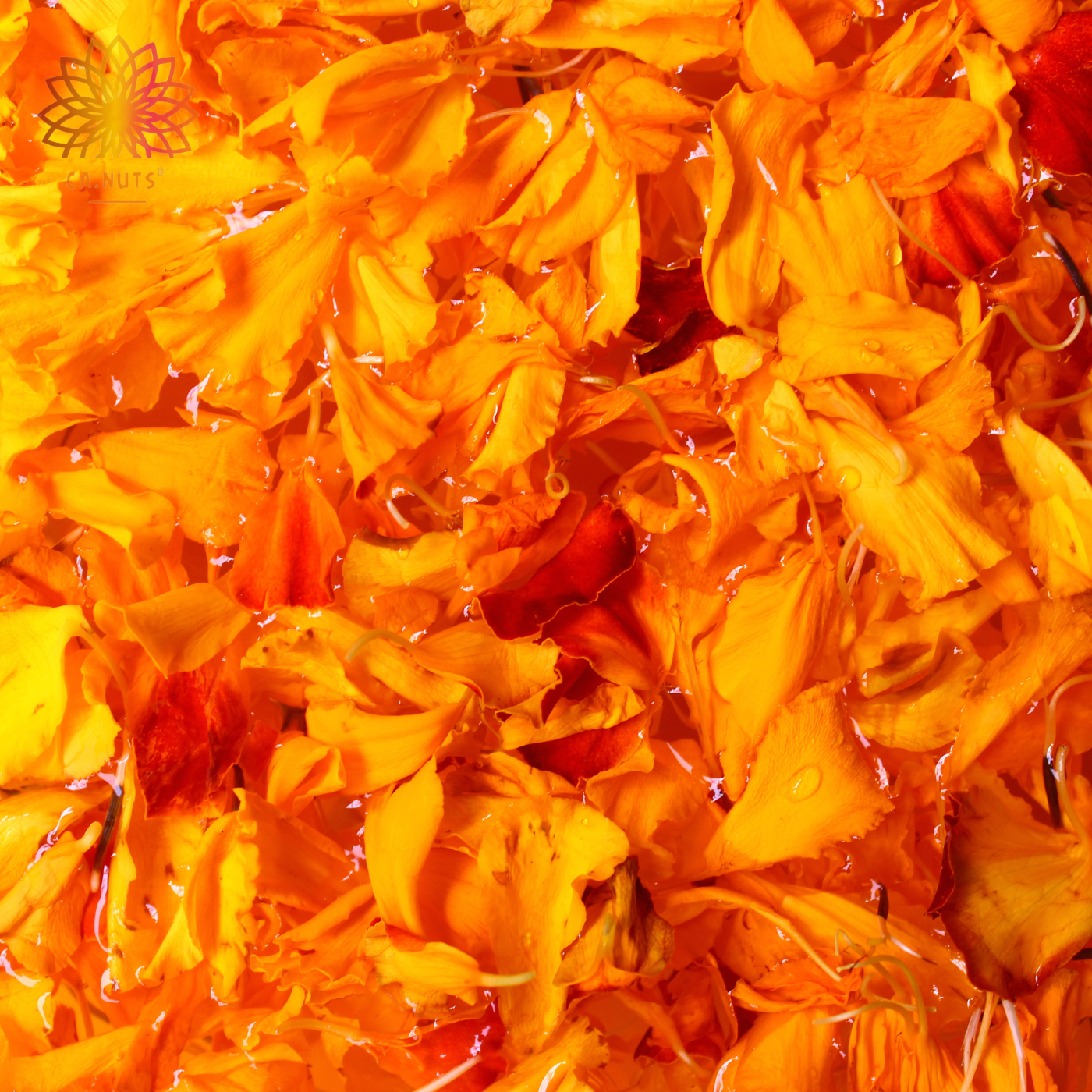 CalĂȘndula Flor Premium Ca.Nuts