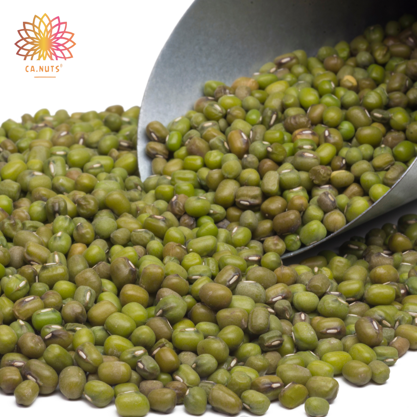 Feijão Moyashi Ca.Nuts Premium