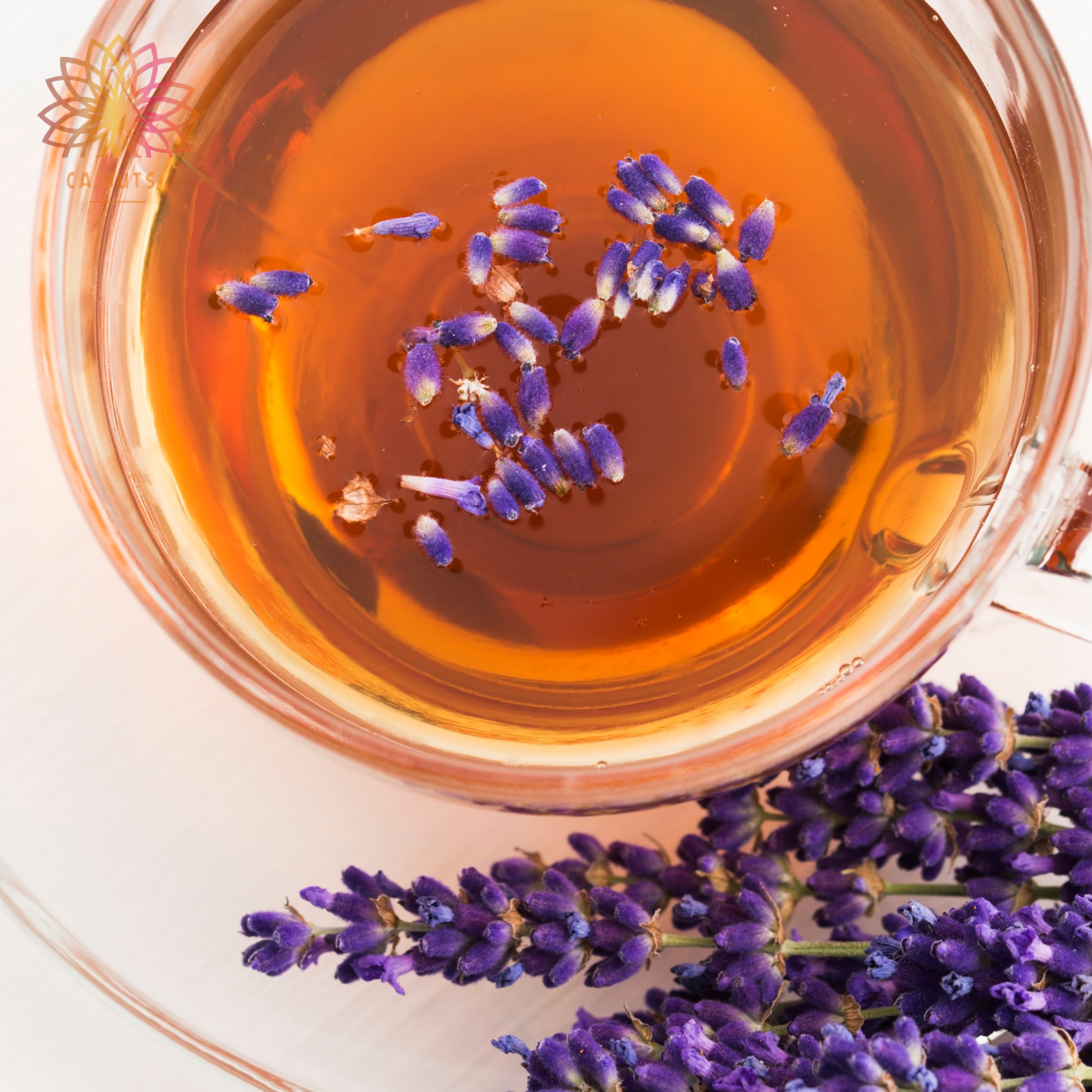 Alfazema Azul Premium Ca.Nuts (Lavanda)