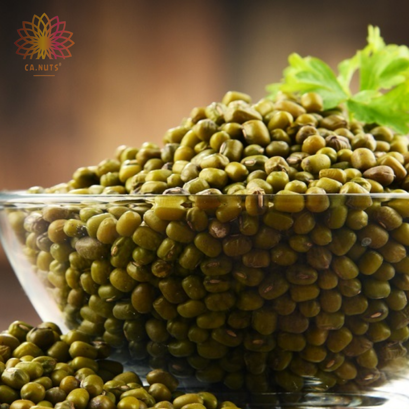 Feijão Moyashi Ca.Nuts Premium