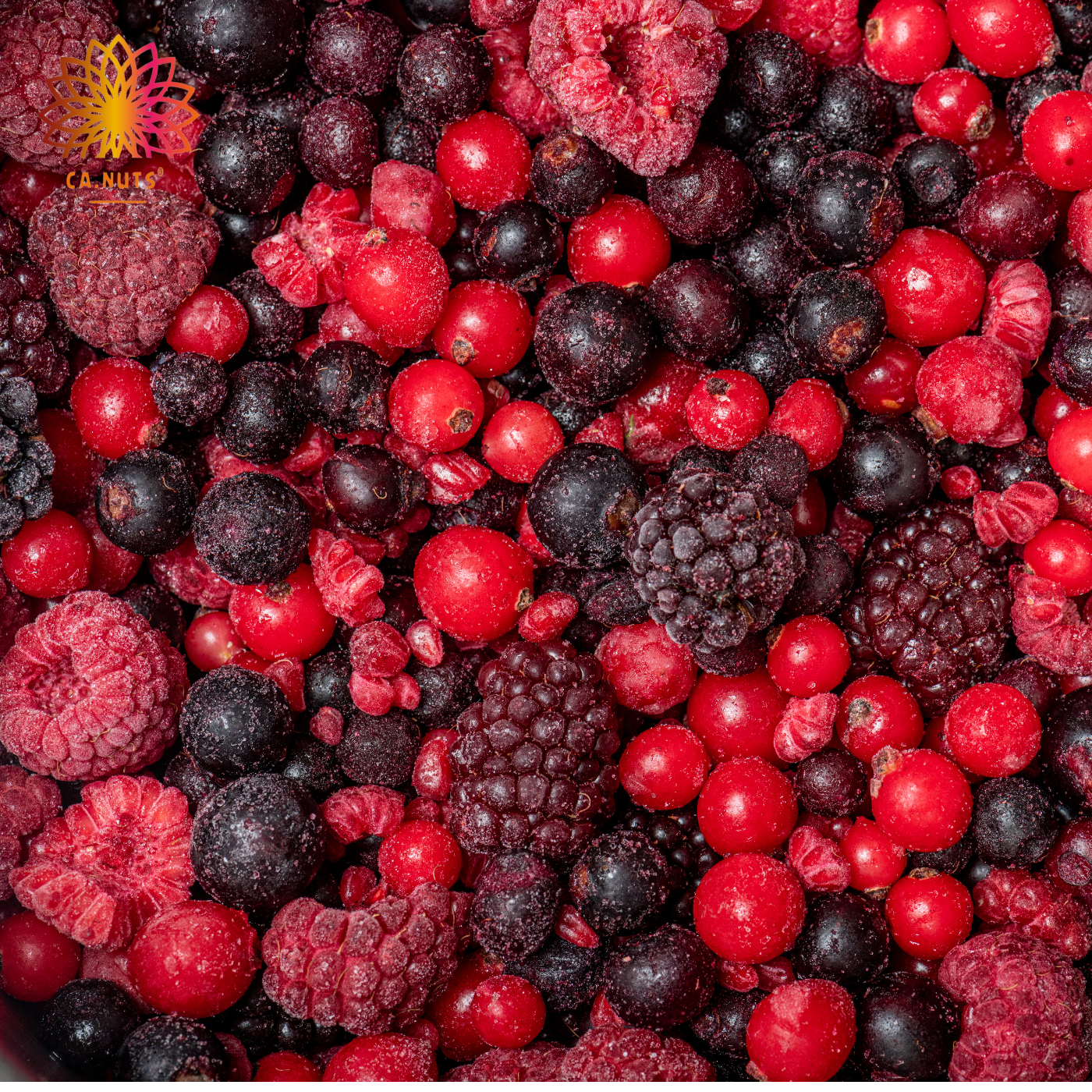 Mix de Frutas Vermelhas (Cereja, Morango, Cranberry e Goji Berry) | Premium Ca.Nuts