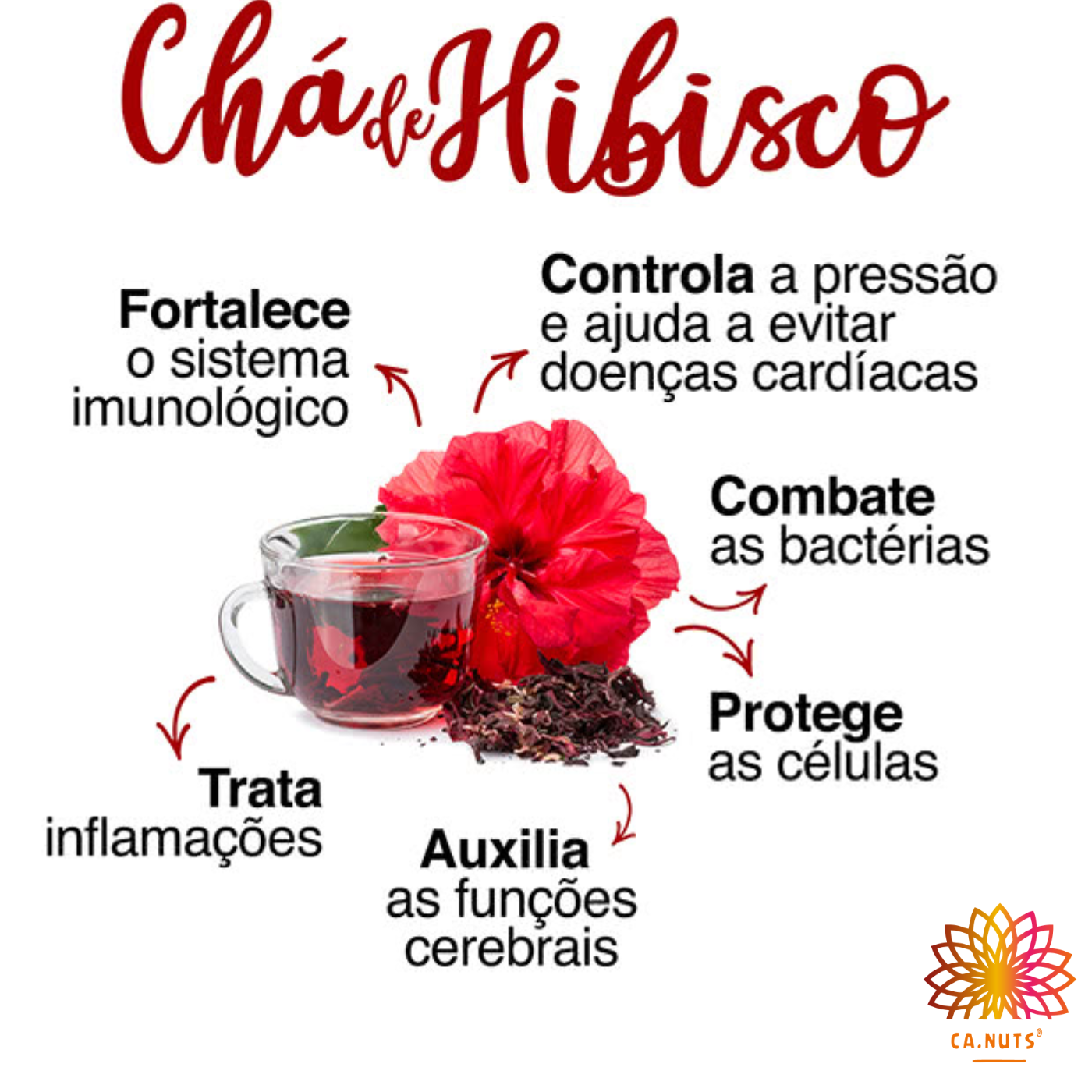 Hibisco Flor Desidratada Chá Ca.Nuts | Linha de Chás Ca.Nuts | Marca Ca.Nuts