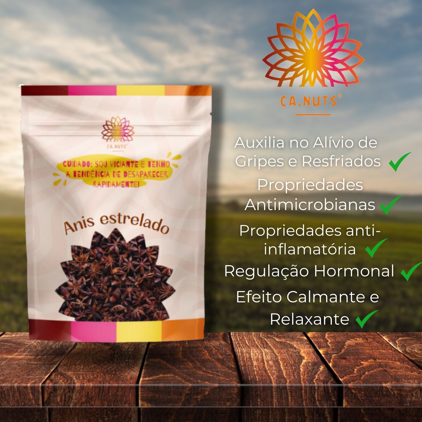 Anis Estrelado Premium | Ca.Nuts