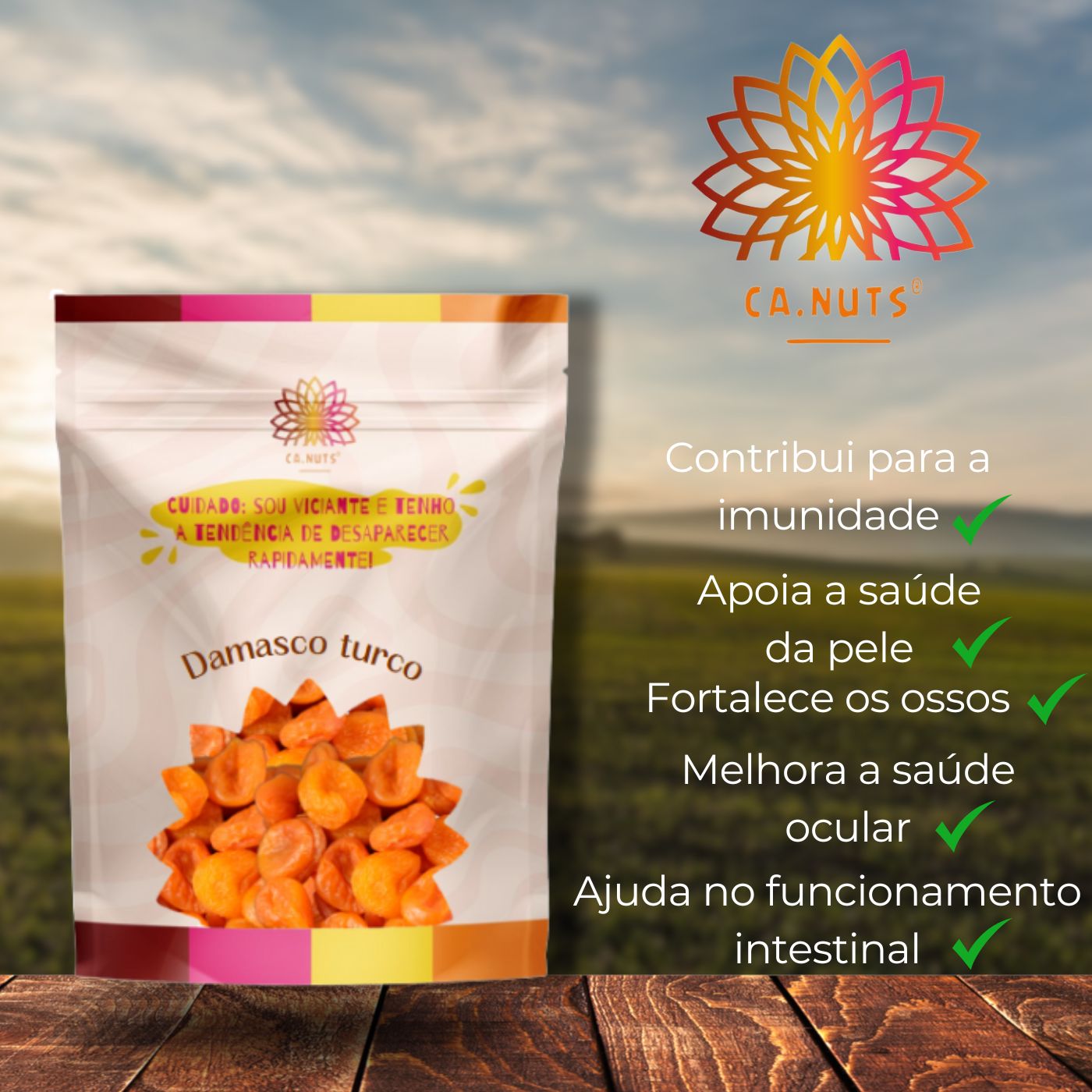 Damasco Turco Jumbo Seco Doce Ca.Nuts