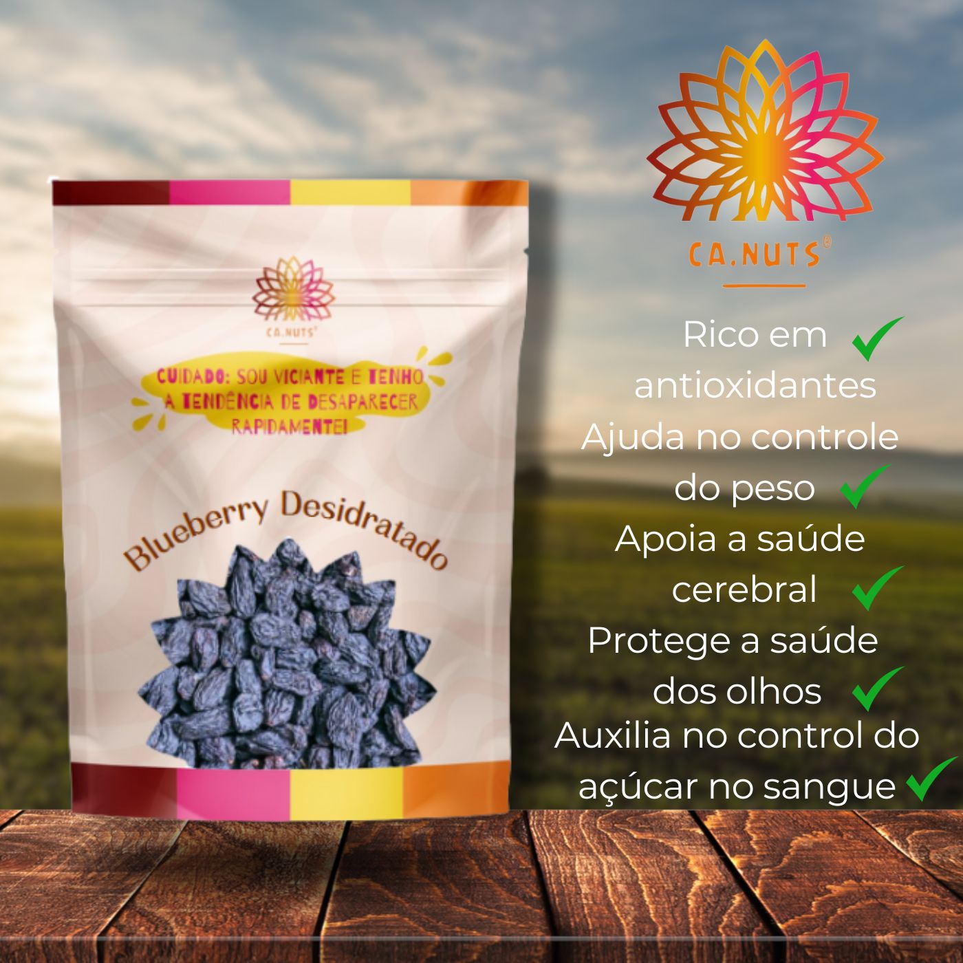 Blueberry Desidratado (mirtilo) Ca.Nuts | Blueberries desidratados