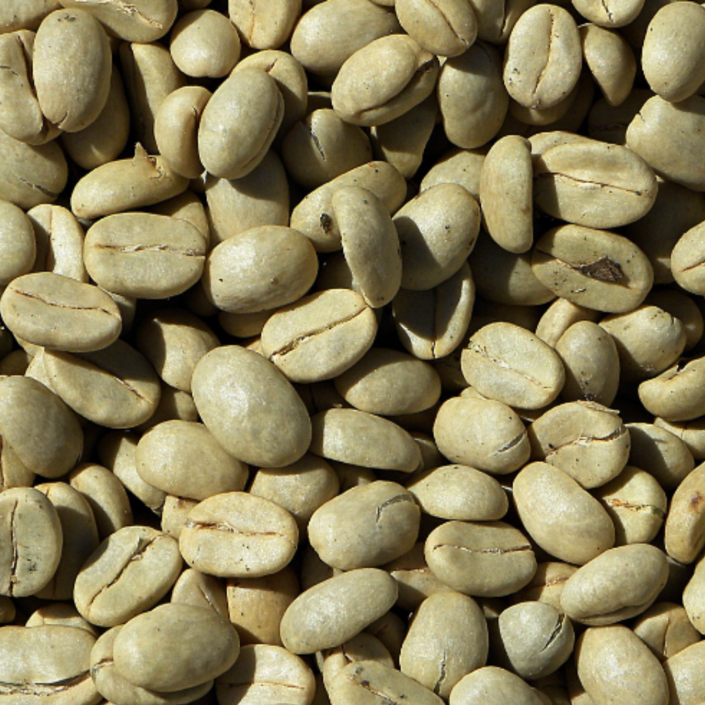 Café Verde em Pó Ca.Nuts