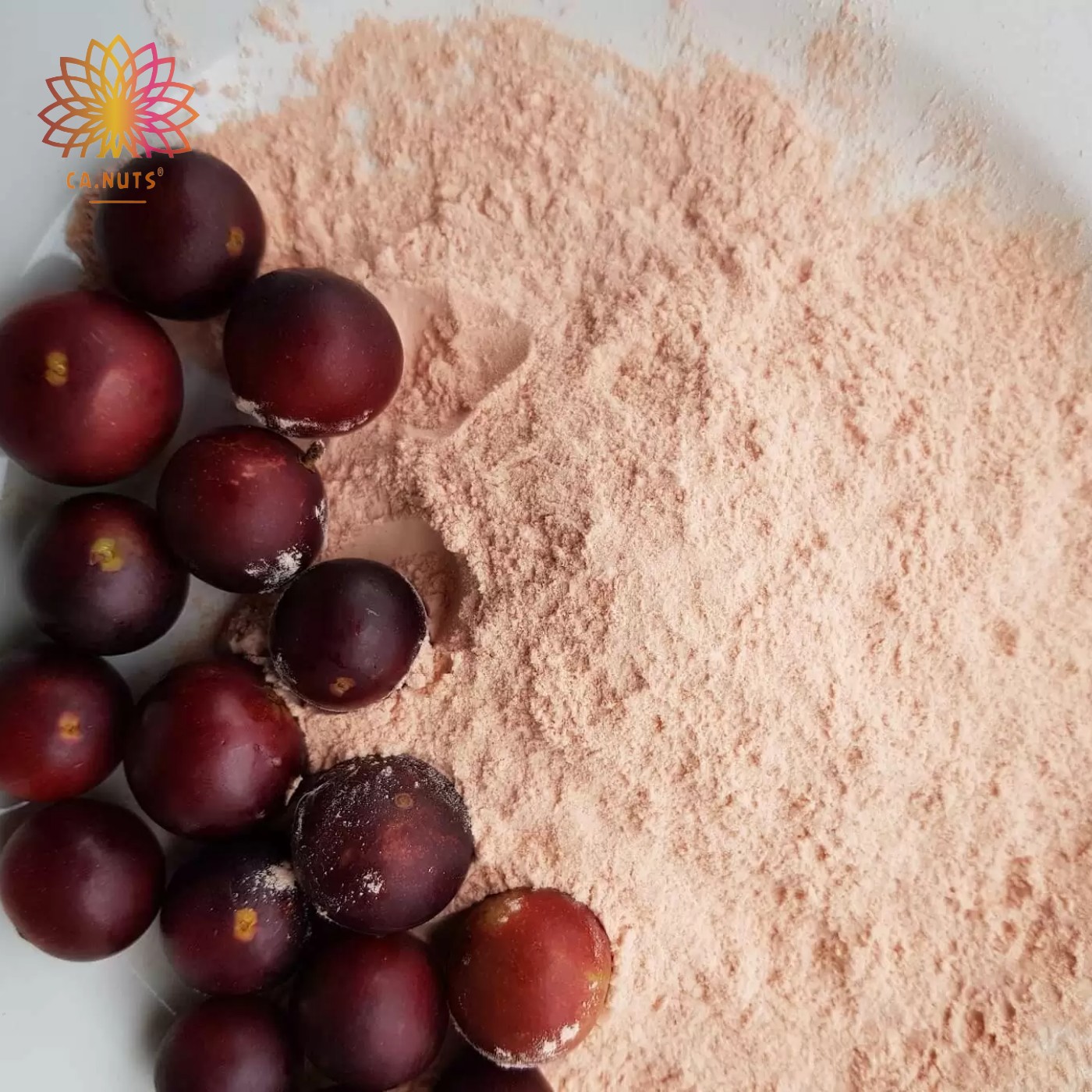 Camu camu extrato em Pó Vitamina C Antioxidante Concentrado Ca.nuts