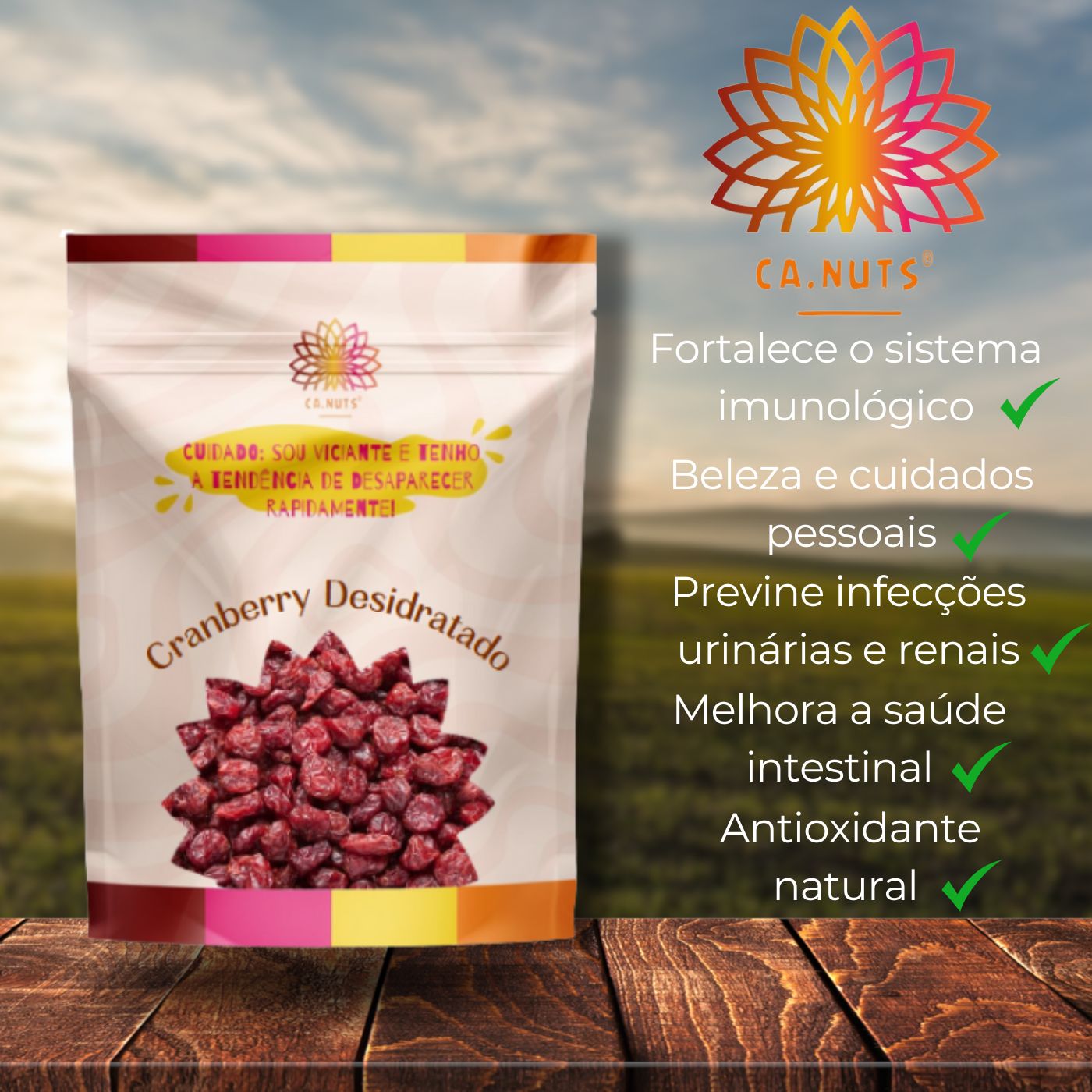 Cranberry desidratado importado Ca.Nuts | Rico em vitaminas