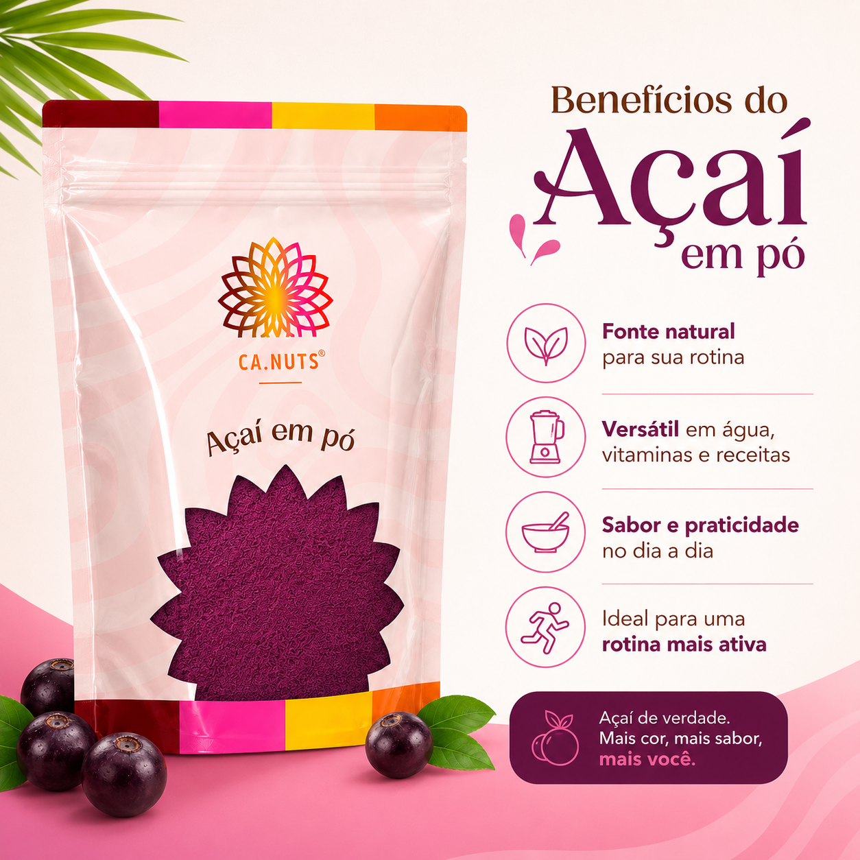 Açaí em pó desidratado premium | Marca Ca.Nuts