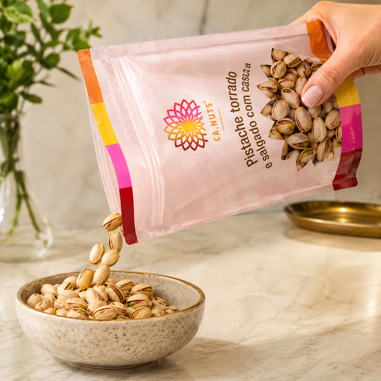 Pistache torrado e salgado com casca premium | Importado Ca.Nuts