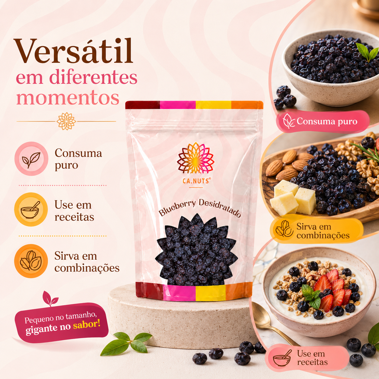 Blueberry Desidratado (mirtilo) Ca.Nuts | Blueberries desidratados