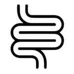 Saúde do intestino